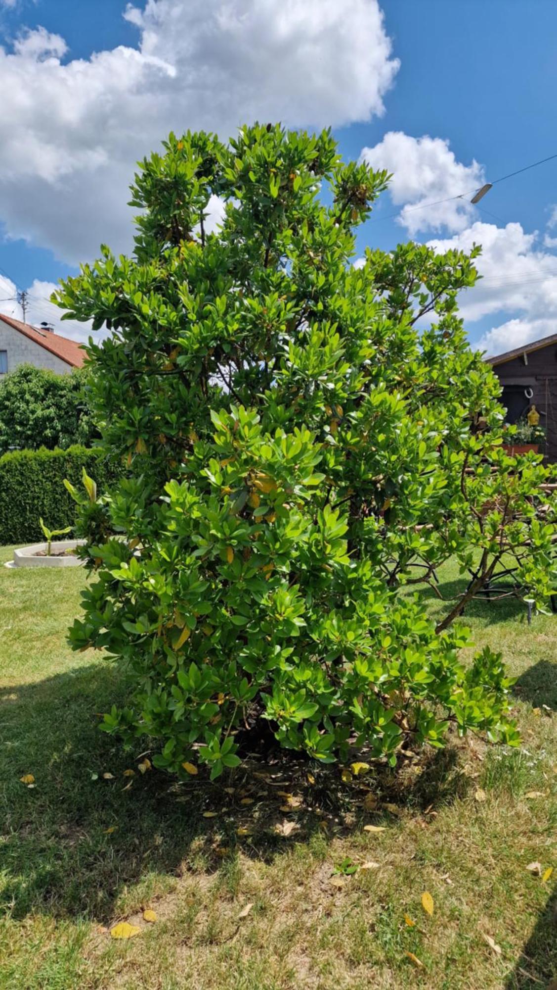 Ferienwohnung Wiesental 89331 Burgau, Wiesentalstrasse 1 المظهر الخارجي الصورة