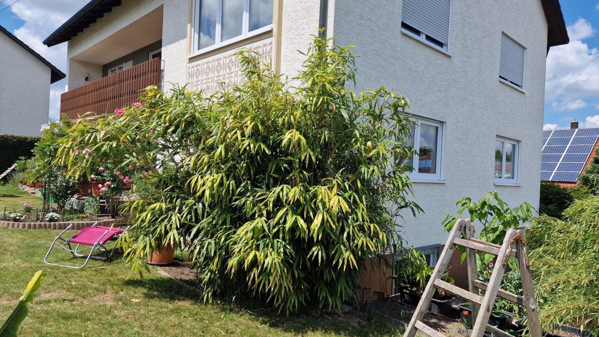 Ferienwohnung Wiesental 89331 Burgau, Wiesentalstrasse 1 المظهر الخارجي الصورة